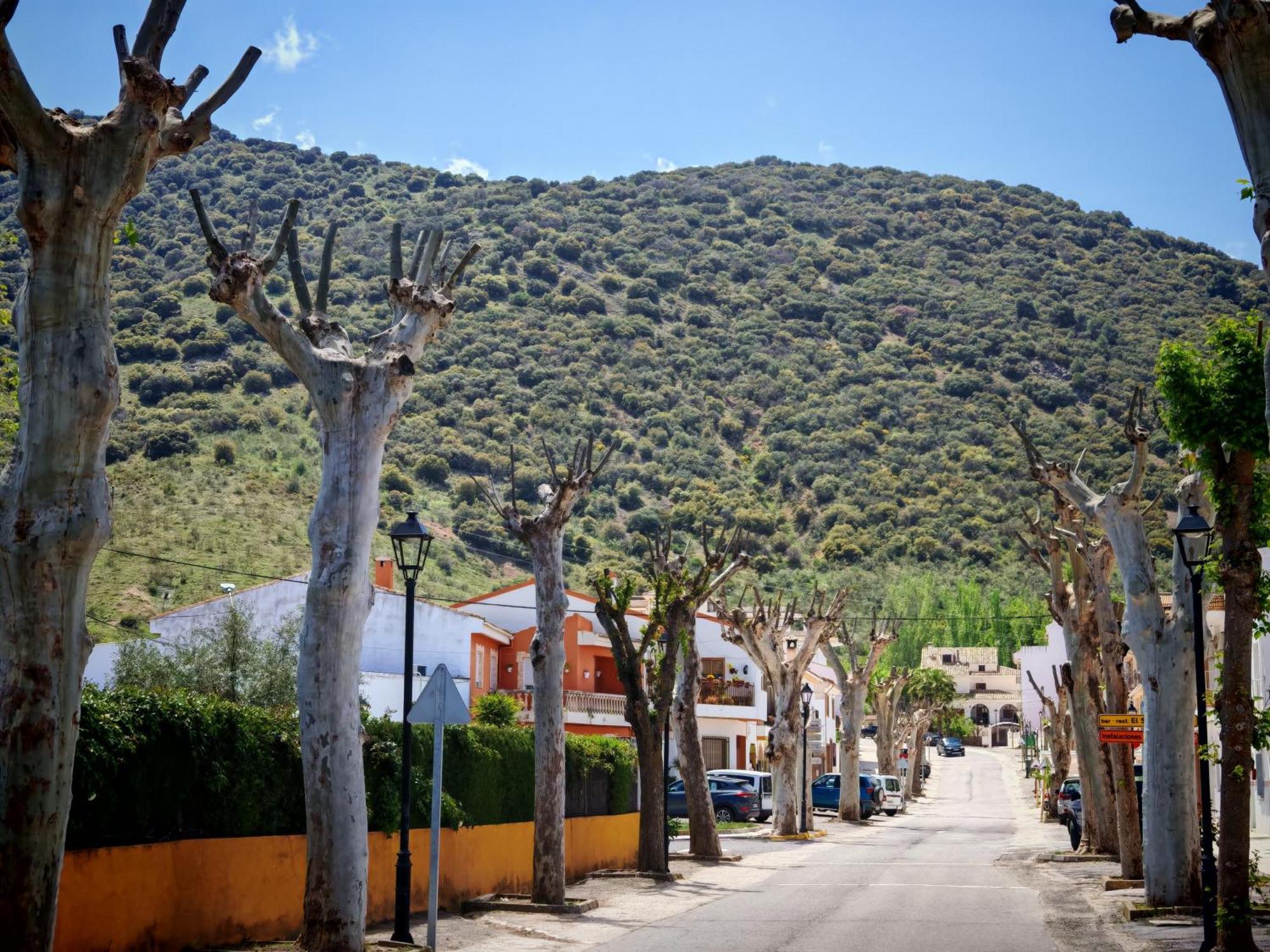 Alojamiento Rural Casa La Abuela Arbuniel Exteriér fotografie